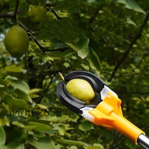 特売！果樹用 果物収穫 ポータブル フルーツピッカー フルーツキャッチャー 伸縮ハンドル付き 伸縮式 1.8m-3m PE アルミ合金製