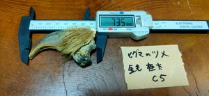 ●熊の爪●ヒグマの手（極太金毛C5） 羆 ひぐま ベアークロー 熊 クマの手 熊の手くま クマ 熊の手 クムンカムイ 魔除け アクセサリー