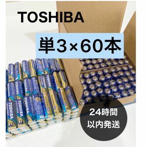 東芝 アルカリ乾電池 単4形 単3形 TOSHIBA乾電池 単4 単3 電池 単四 単三 クーポン 防災 備蓄 