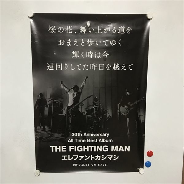 ヤフオク! -「エレファントカシマシ fighting」の落札相場・落札価格