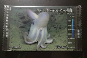明治（meiji）　生物図鑑　深海生物編コレクションカード　「No．11　ジュウモンジダコの仲間」