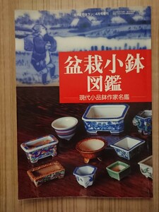 盆栽小鉢図鑑‐現代小品鉢作家名鑑‐ 『自然と野生ラン』増刊 