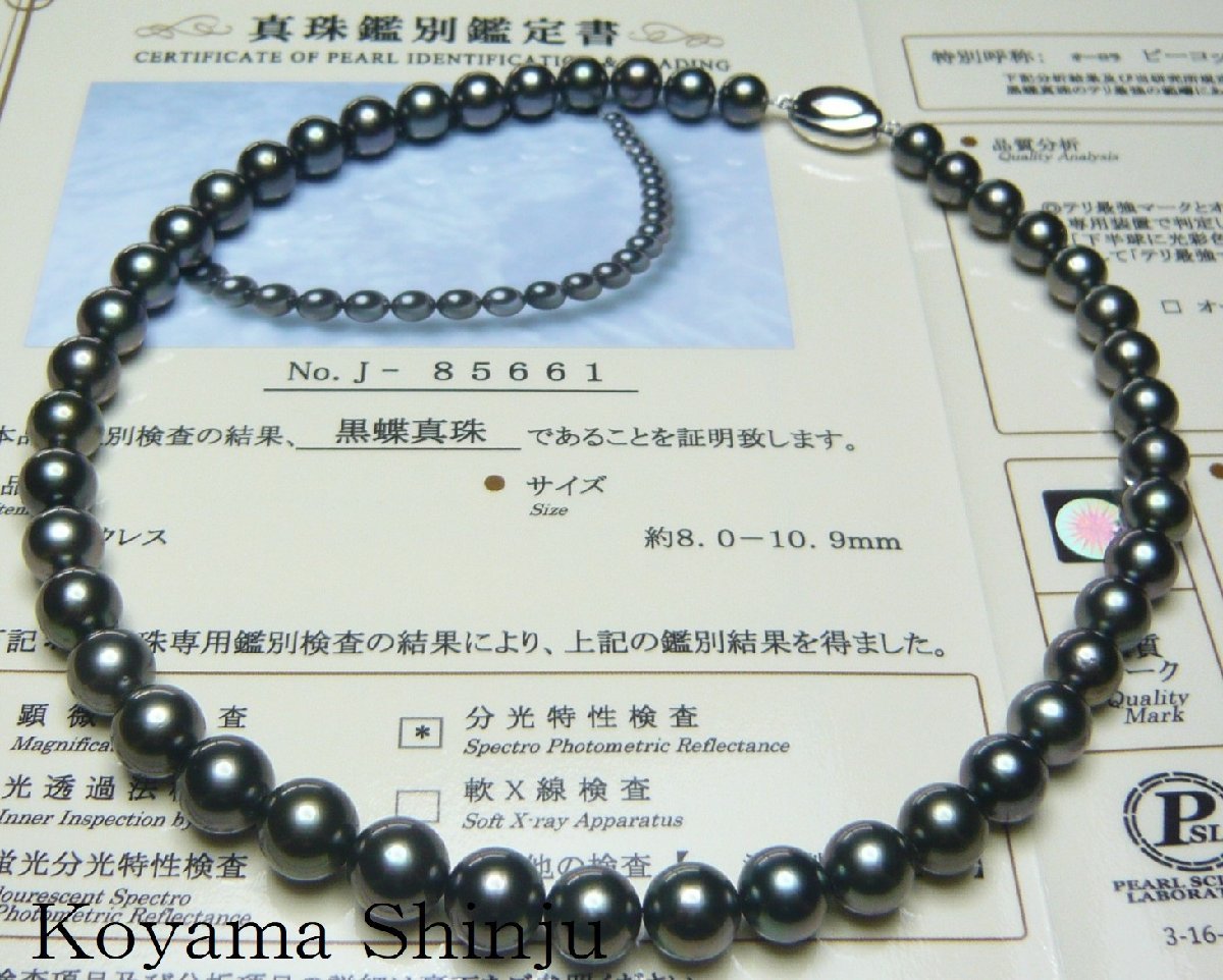2023年最新】ヤフオク! - 黒蝶(くろちょう)真珠(真珠 ネックレス