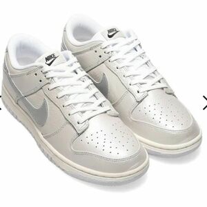 ナイキ ダンク ロー dunk low NIKE DX3197-095　28㎝