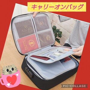 キャリーオンバッグ　オーガナイザーケース　スーツケース　キャリーケース　生活雑貨　PCケース　グレー　１個