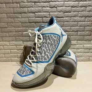 【27.5cm】Jordan 29 Pantone