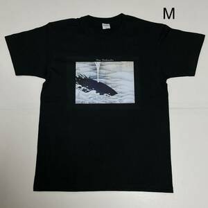 伊藤若冲　鯨図　綿5.6オンスTシャツMサイズ　黒　SMLサイズ有り