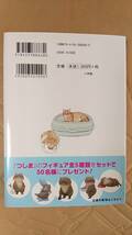 書籍/コミック　おぷうのきょうだい / 俺、つしま 2巻　2019年2刷　小学館　中古_画像2