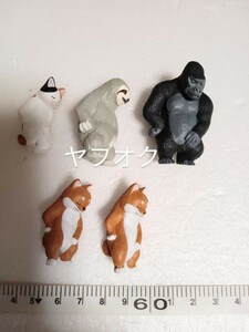 けもの美術館　しーしー小僧　ゴリラ　ナマケモノ　三毛猫　柴犬(ダブり)　セット