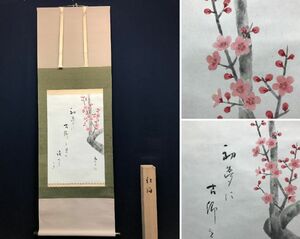 Art hand Auction 真作/香翠/紅梅一茶句/花図/早春図//掛軸☆宝船☆AC-715, 絵画, 日本画, 山水, 風月