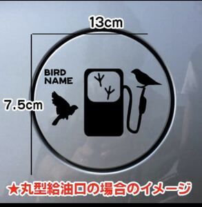 [ free shipping ] writing bird ..... fuel filler opening sticker rear glass bird car name inserting free 