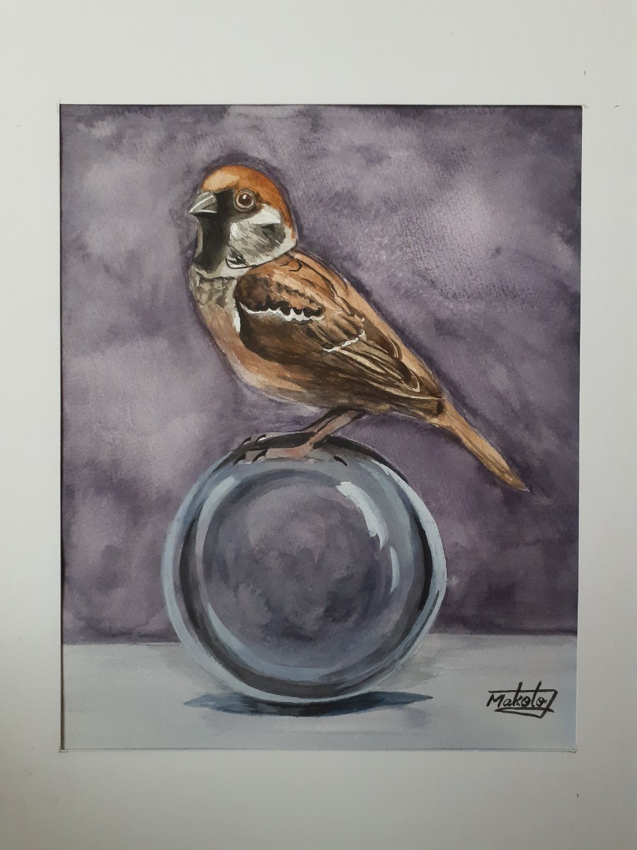 Aquarellmalerei Sparrow Ball Rider, Malerei, Aquarell, Tierbilder