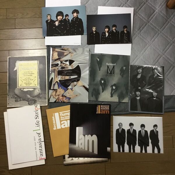 flumpool ツアーパンフレット クリアファイル CD特典 9個