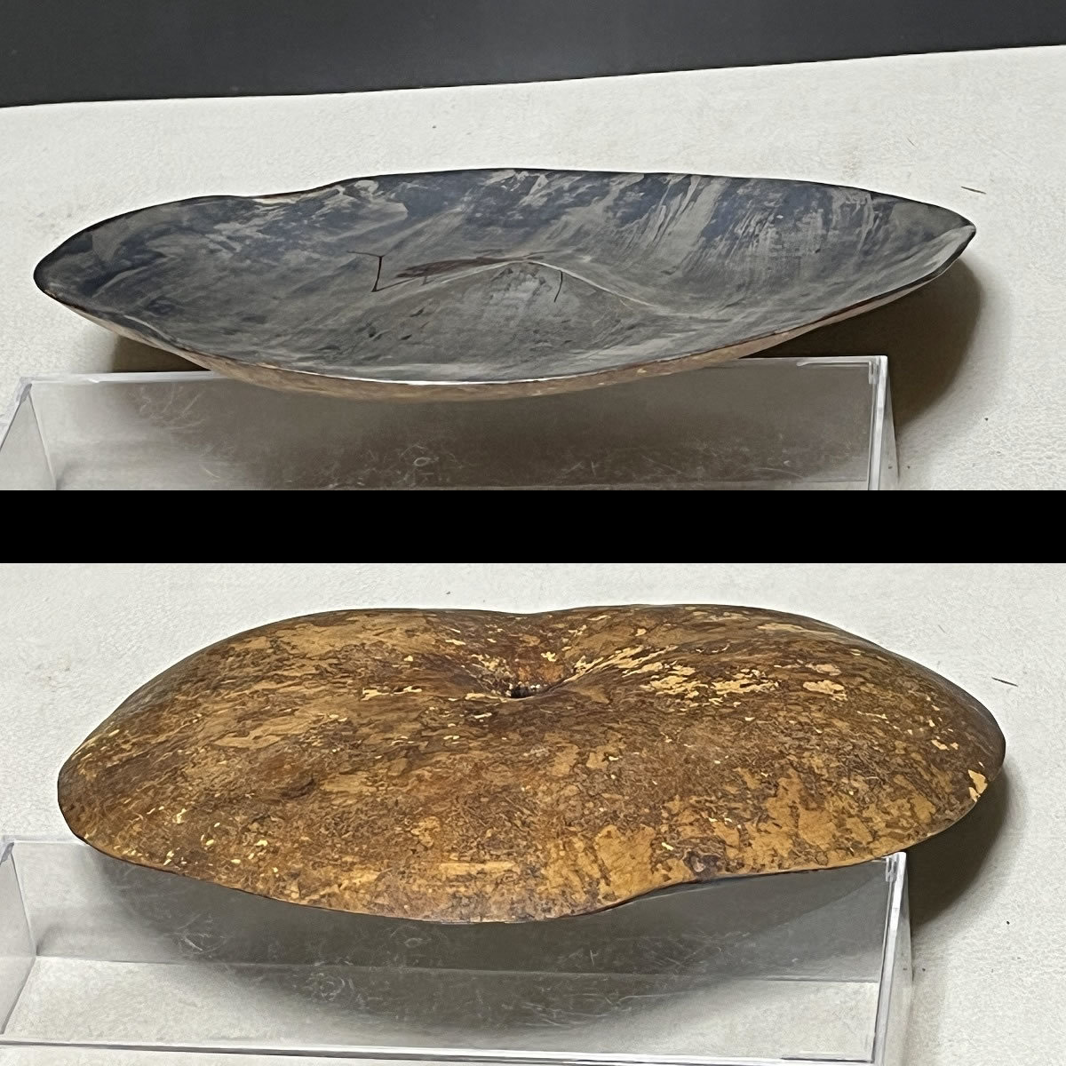 瓢箪 虫画 干菓子器 共箱 書付 菓子皿 虫の絵 菓子器 茶道具【k2456