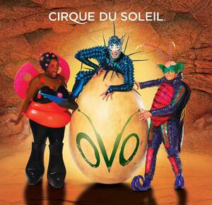 Ovo Cirque Du Soleil 輸入盤CD