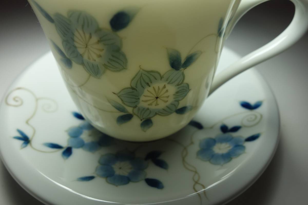 Heisei Período Romance Ilustración de flores pintadas a mano Taza de café y platillo Mano rara, ceramica japonesa, Cerámica en general, porcelana coloreada