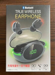 true wireless earphone ワイヤレスイヤホン Bluetooth