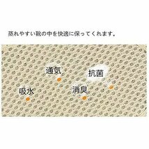 炭消臭インソール 防臭 呼吸 抗菌 洗える 靴の中敷 10足セット（ブラック5足+ベージュ5足）男性用 女性用 サイズ24.5cm_画像3