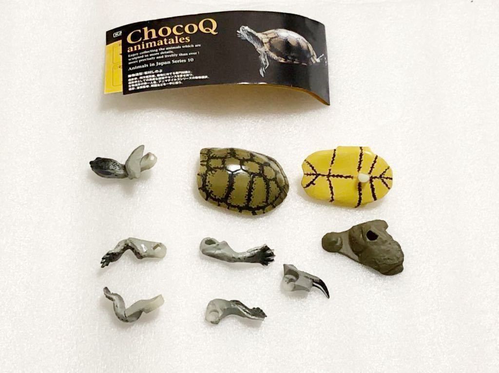 2023年最新】ヤフオク! -#ミシシッピアカミミガメの中古品・新品・未