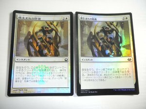 D340【MTG】根生まれの防衛 Foil 2枚セット 即決