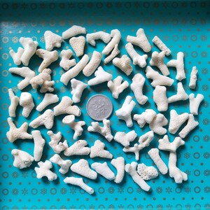 珊瑚 サンゴ さんご 欠片 カケラ かけら 白 枝珊瑚 枝サンゴ 微小貝 貝殻 貝がら 貝 天然 ハンドメイド パーツ 材料 ハート ピース ④
