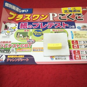 さ-058 プラスワンPこくご 2年 上巻 問題集 プリント ドリル 小学生 国語 算数 テキスト テスト用紙 文章問題 教育同人社 スヌーピー※11