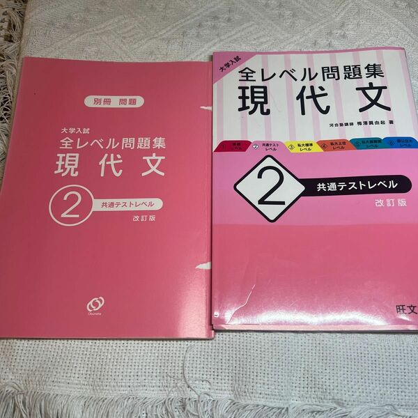 大学入試　全レベル問題集現代文　2共通テストレベル