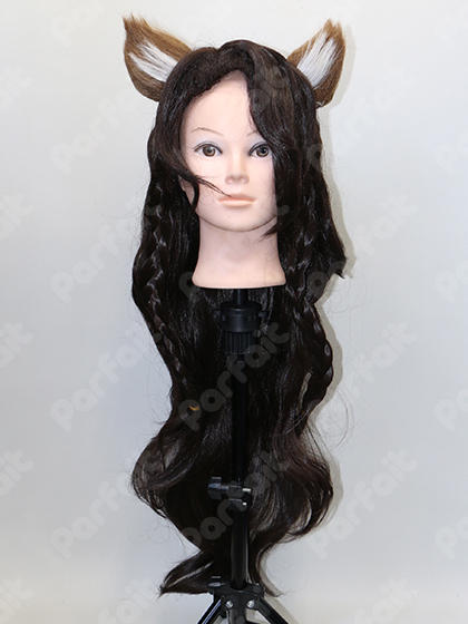 2023年最新】Yahoo!オークション -#レオナ(コスプレ衣装)の中古品