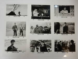未使用美品　スチール写真9枚「子供たちの王様」チェン・カイコー　1987年　中国映画　日本ヘラルド配給会社封筒付
