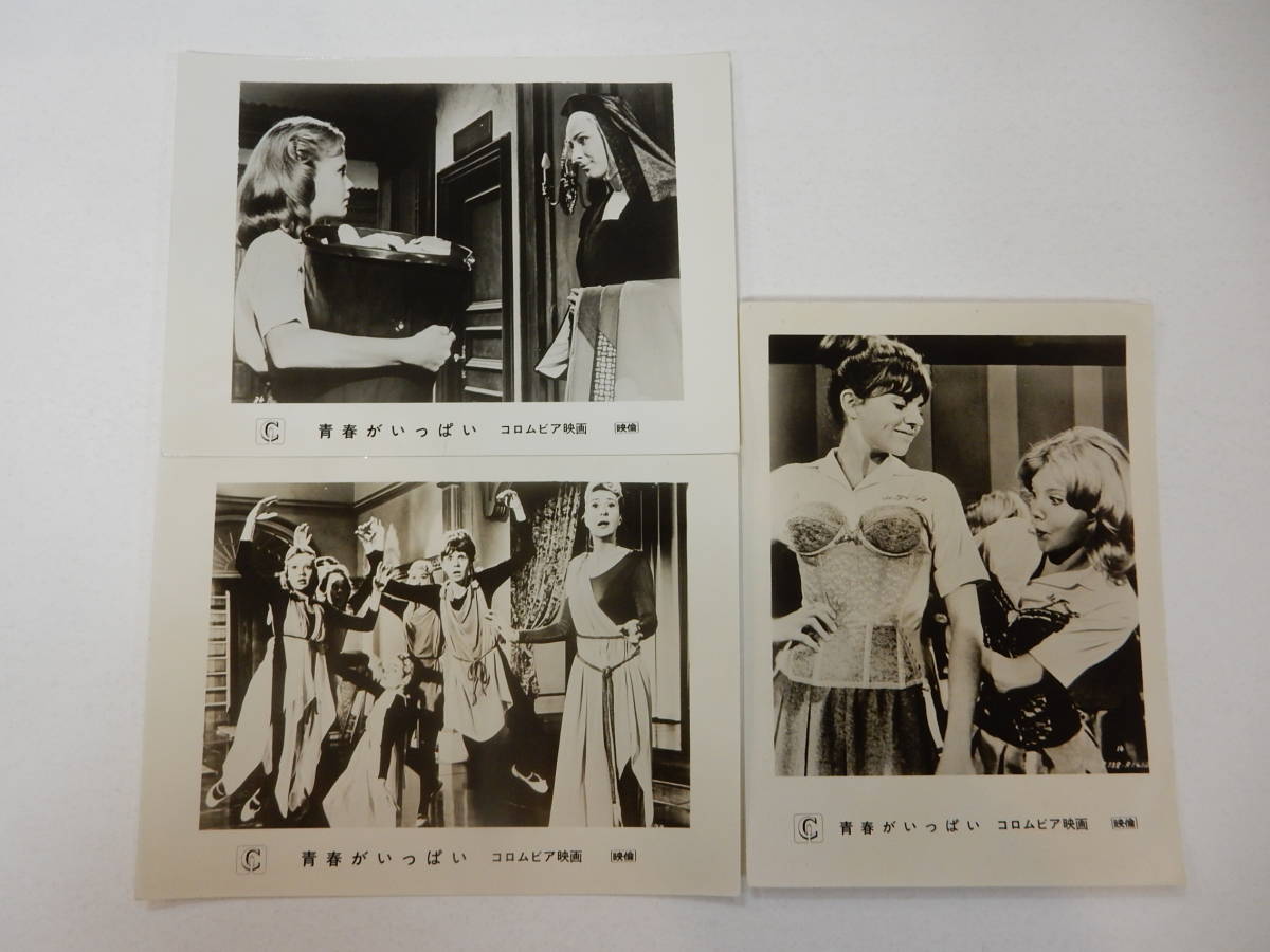 2023年最新】ヤフオク! -ヘイリーミルズ(映画、ビデオ)の中古品・新品