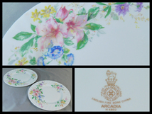 ROYAL DOULTON(ロイヤルドルトン)ARCADIA(アルカディア)花模様 パスタ皿 パスタプレート 平皿(2客)西洋陶磁器 s22061204_画像1