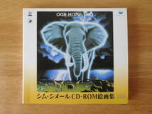 ★映像ＣＤ　シム・シメール　CD-ROM絵画集　サウンド：東儀 秀樹★_画像1