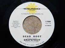 Grapefruit-Dear Delilah★米 Equinox Orig.7”/Terry Melcher_画像2