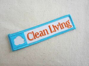 ビンテージ Clean Living クリーン リビング 清掃 企業 ワッペン/パッチ USA 古着 アメカジ カスタム キャップ ワークシャツ ② 532