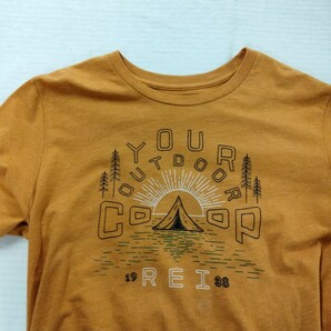  REI coop アールイーアイ 半袖 プリント Tシャツ 60年代 レトロ クラシック アウトドア キャップ スタイル L outdoor camp レイの画像7