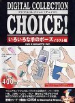 【中古】 Digital Collection Choice! No.17 いろいろな手のポーズ イラスト編