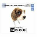 【中古】 THE DOG ~ CavalierKingCharlesSpaniel