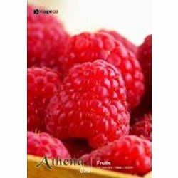[ used ]atenaVol.20 fruit 