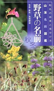 【中古】 野草の名前秋・冬―和名の由来と見分け方 (山渓名前図鑑)