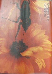 【中古】 蜷川実花写真集 アシッド・ブルーム (Ninagawa Mika Acid Bloom)