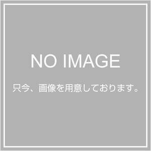 【中古】 DAIKO 配線ダクトパーツ 直付専用型カップリング形ジョイナー 白 DP36338
