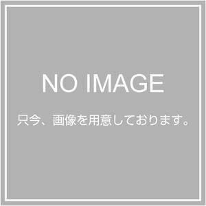 【中古】 大光電機 DAIKO アウトドアスポット 【 ランプ別売】 LEDビームランプ 11.7W (E26) ×1灯