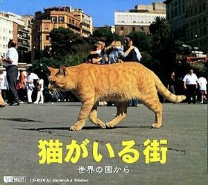 【中古】 猫がいる街 世界の国から