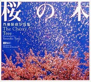 [ б/у ]. земля гарантия . фотоальбом Sakura. дерево The Cherry Tree