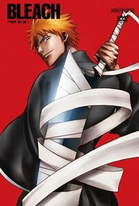 【中古】 BLEACH 尸魂界 潜入篇 1 (通常版) [DVD]