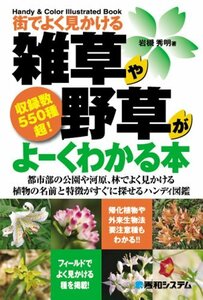 【中古】 街でよく見かける雑草や野草がよーくわかる本