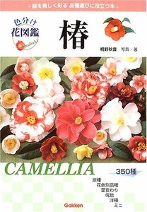 【中古】 色分け花図鑑 椿