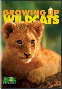 【中古】 Growing Up Wild Cats [DVD] [輸入盤]