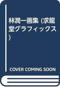 【中古】 林潤一画集 (求龍堂グラフィックス)