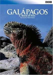 【中古】 BBC ガラパゴス I.炎からの誕生 [DVD]